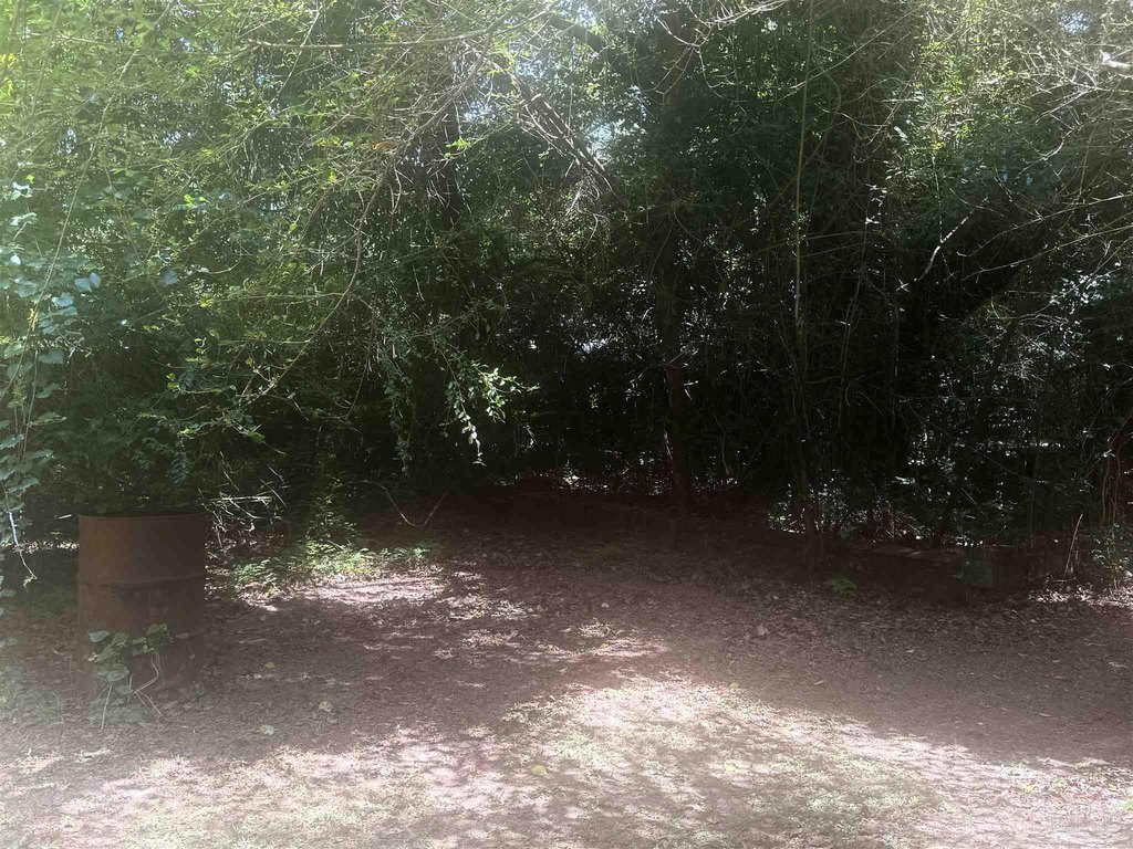Picture 8