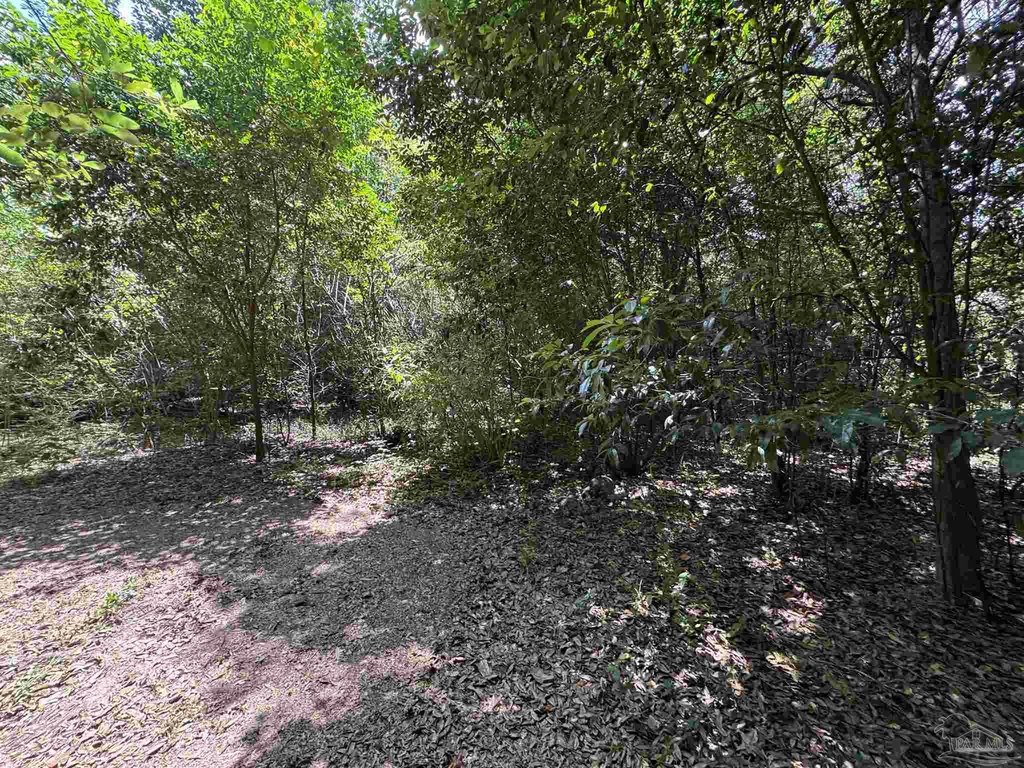 Picture 19