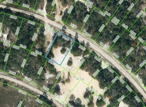 Land in Lake Placid, FL