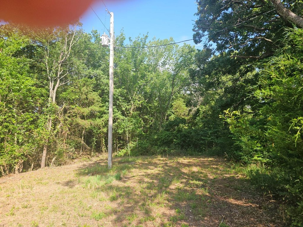 Picture 10