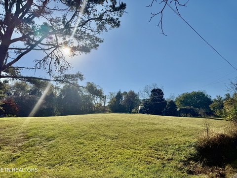 Lots & Acreage, New Tazewell, TN