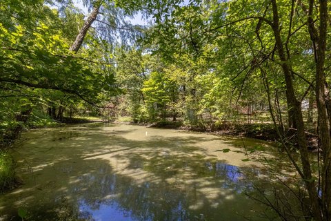 LAND - Other - Quinlan, TX
