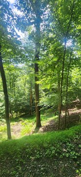 Recreation Resort Building Lot