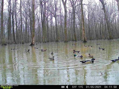 Humphreys County Land For Sale