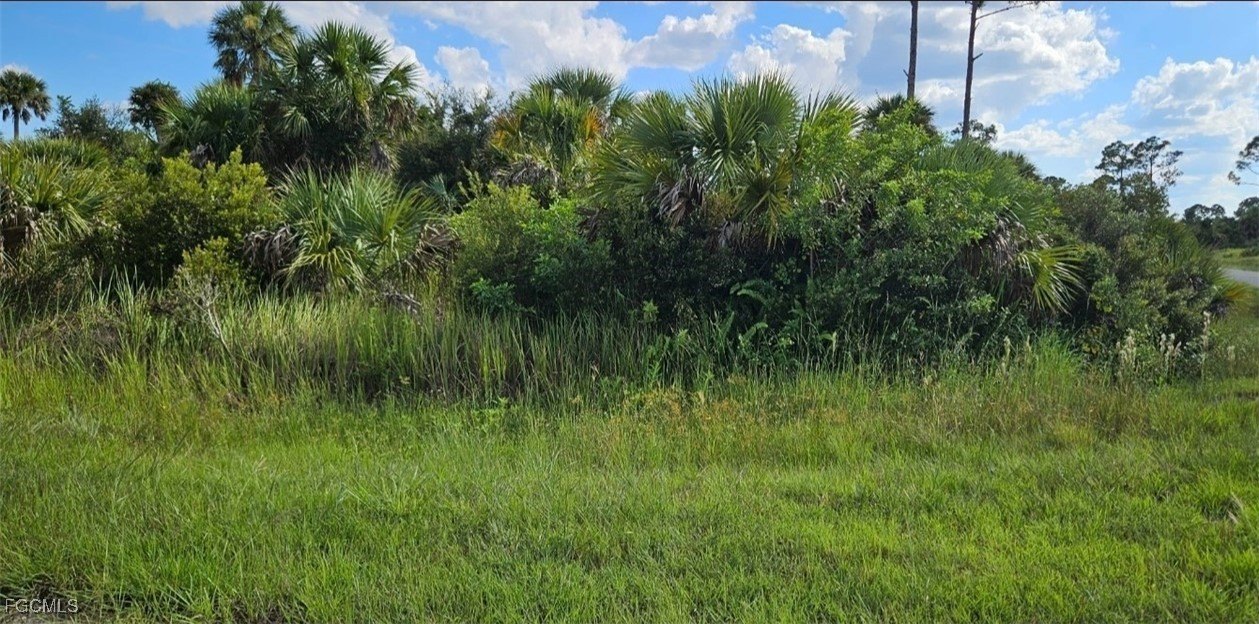 Residential Lot in North Port