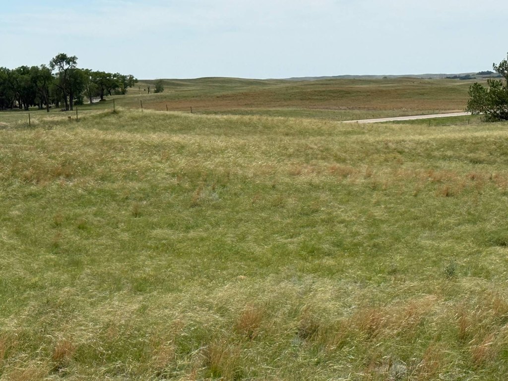 Picture 30