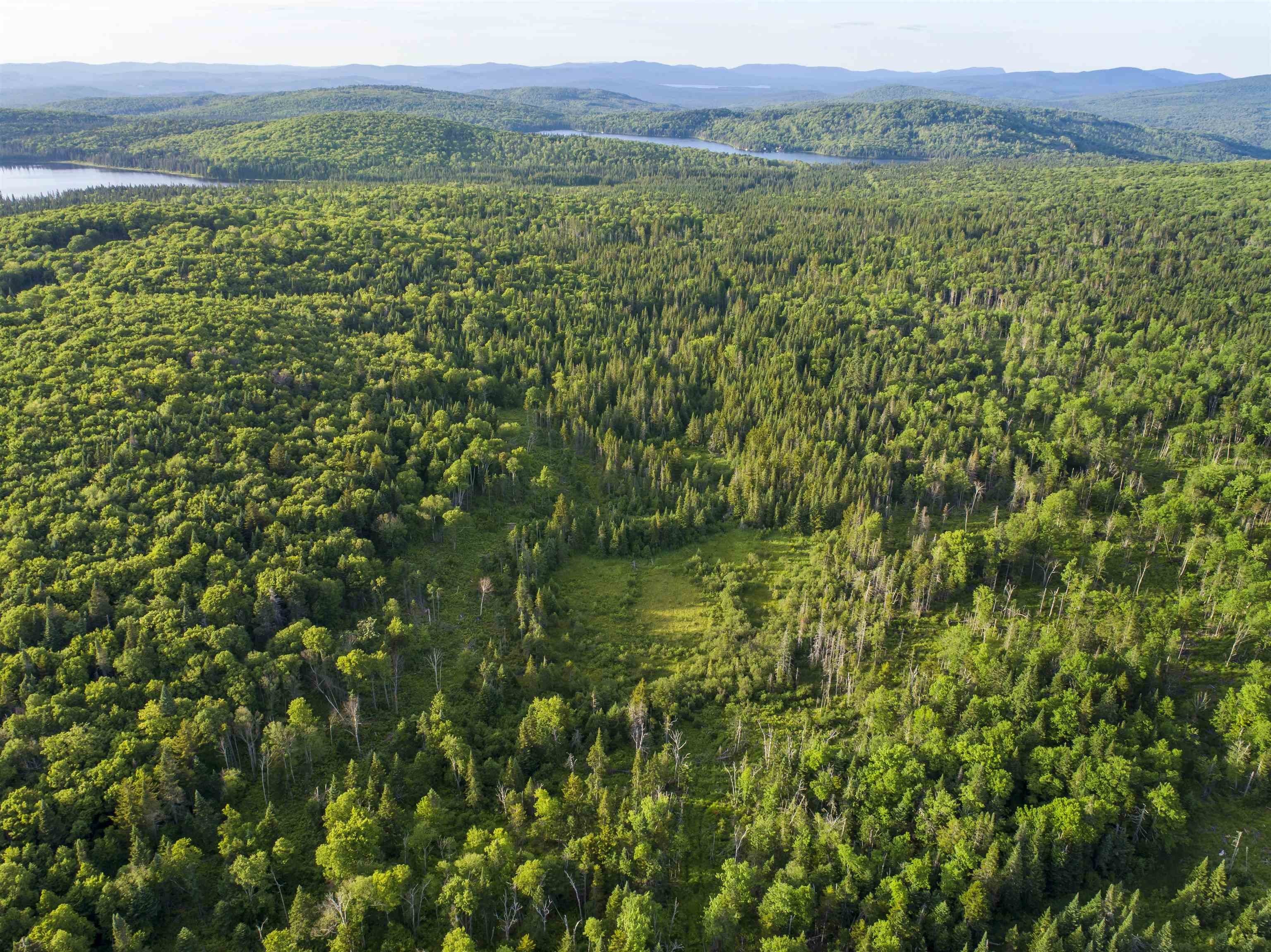 36 Acres Bordering Coleman Park
