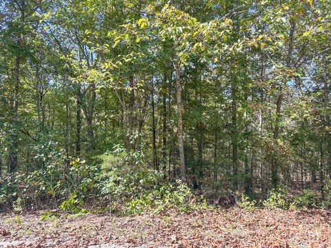 Land, Cherokee Village, AR