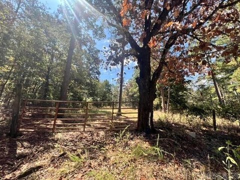 Vacant Land, Cave City, AR