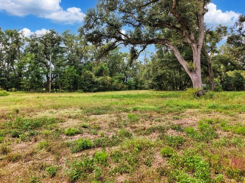 Land, Bell, FL