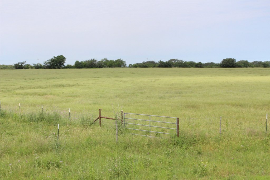 Picture 26