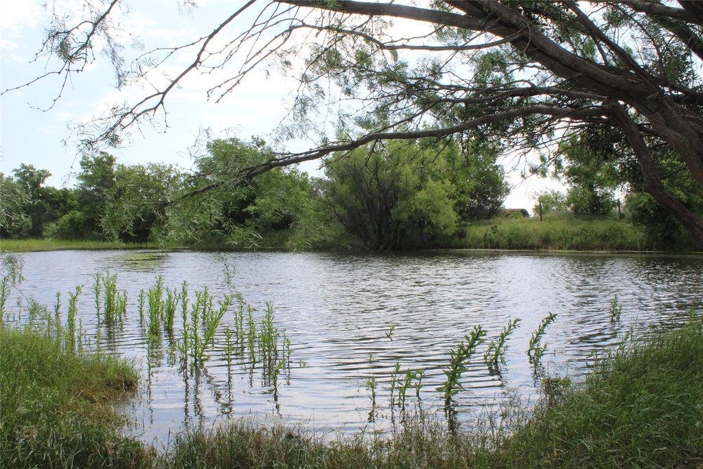 Picture 23