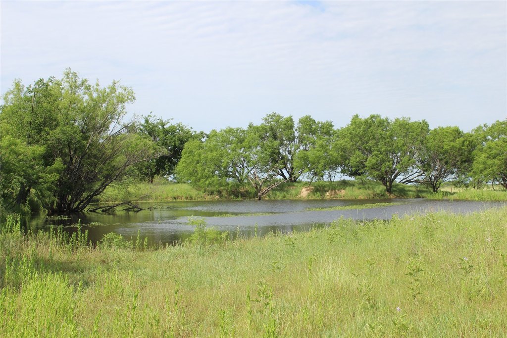 Picture 22