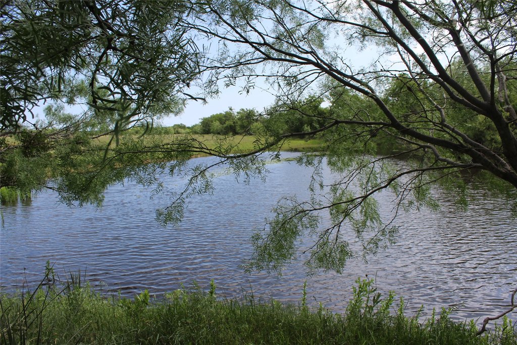 Picture 25