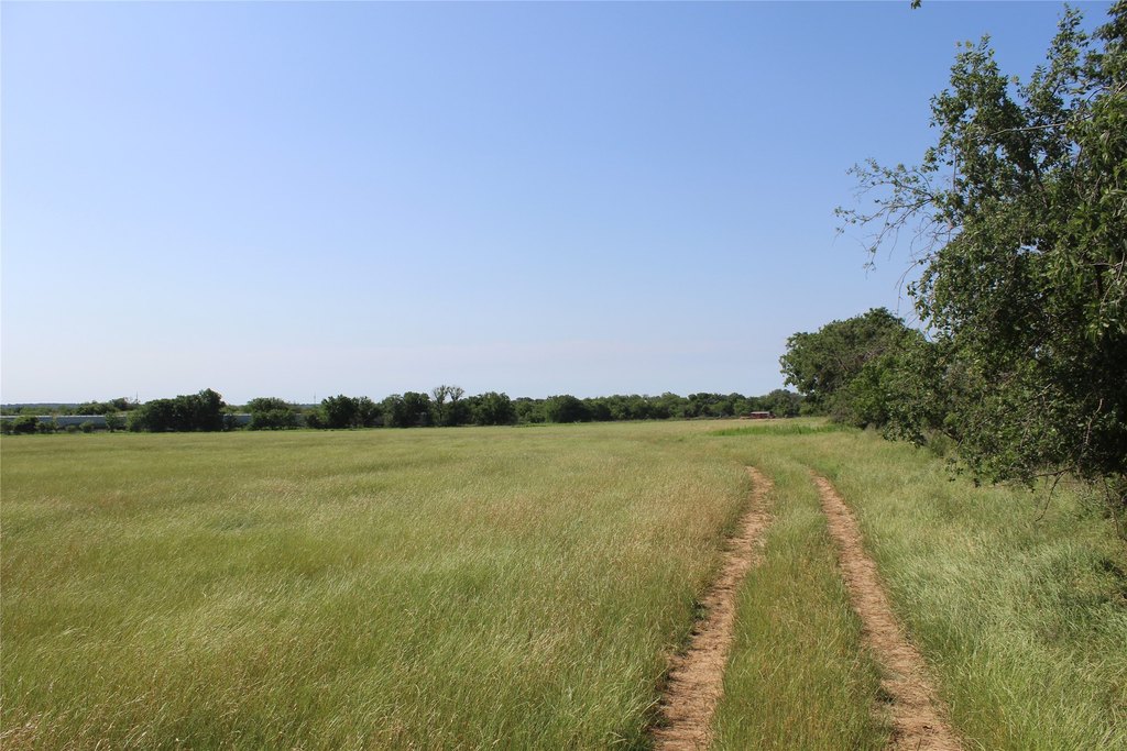 Picture 11