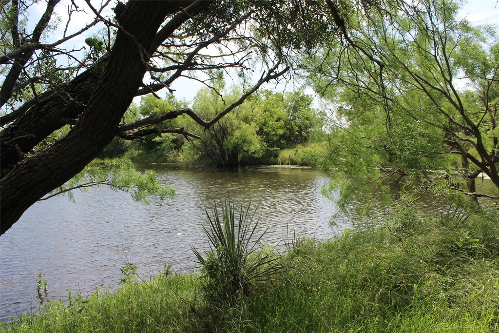 Picture 24