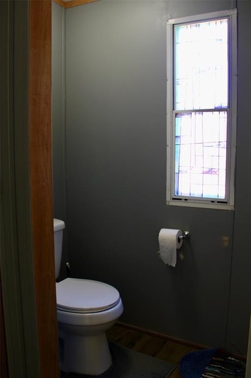 Picture 31