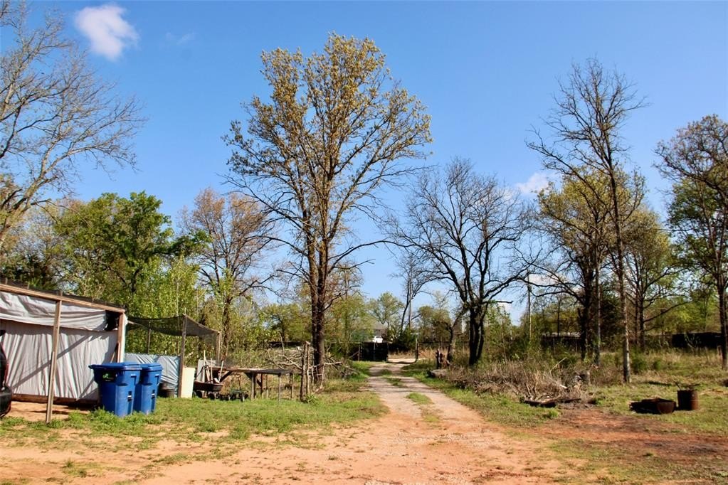 Picture 28
