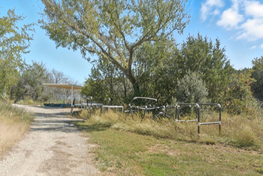 Picture 29