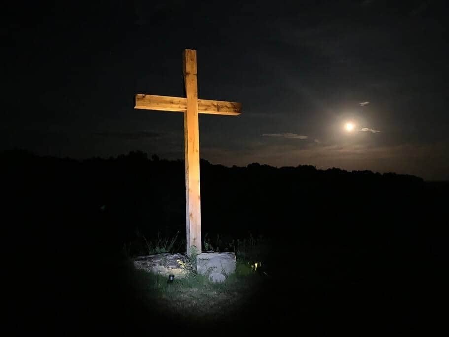 Picture 31