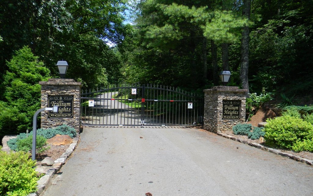 Picture 18