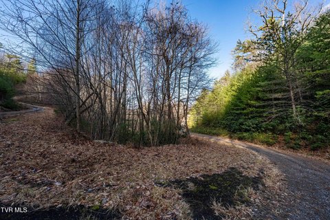 Mountain City Land with Views