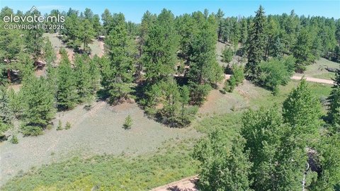 LAND - Florissant, CO