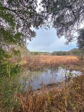 Spacious Brooksville Land with Reservoir
