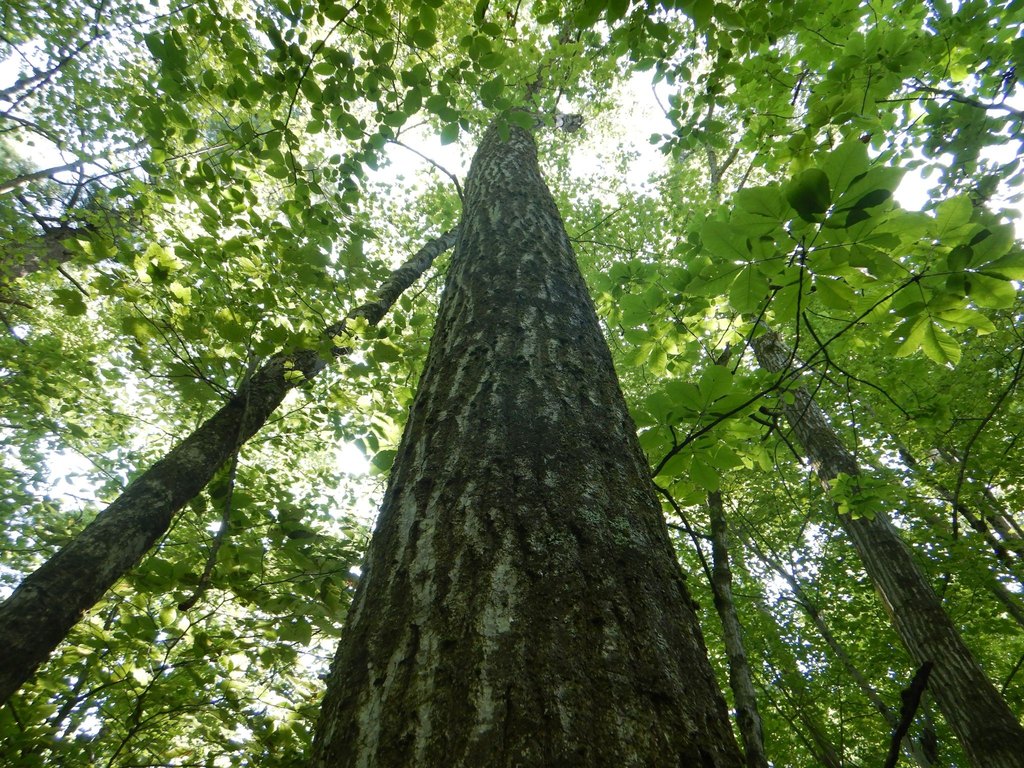 Picture 9