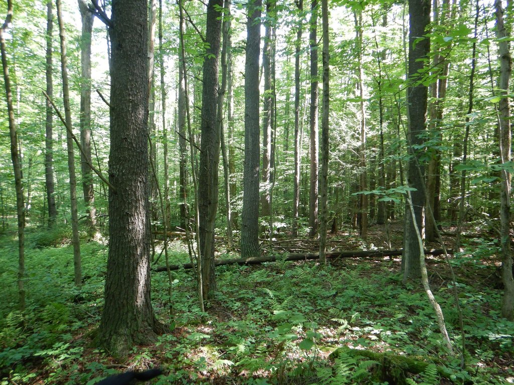 Picture 10