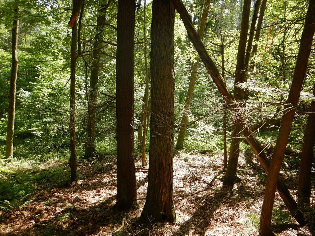 Picture 14