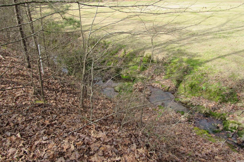 Picture 7