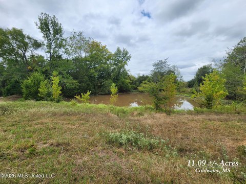 Land, Coldwater, MS
