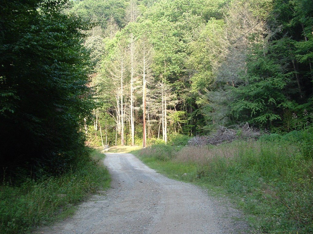 Picture 4