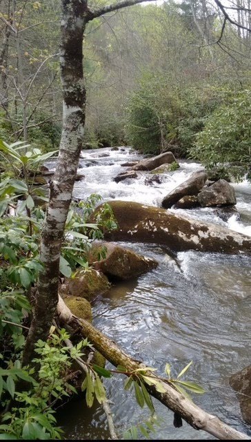 Picture 2