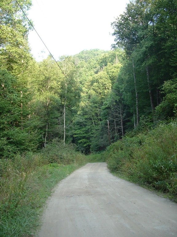 Picture 3