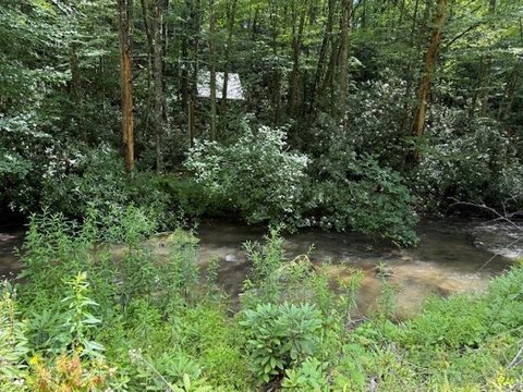 LAND - Robbinsville, NC