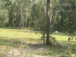 Picture 8