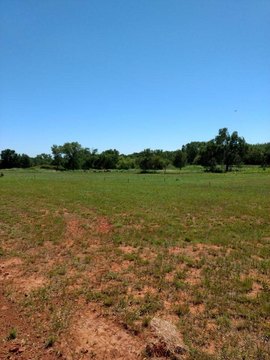 Land, Orlando, OK