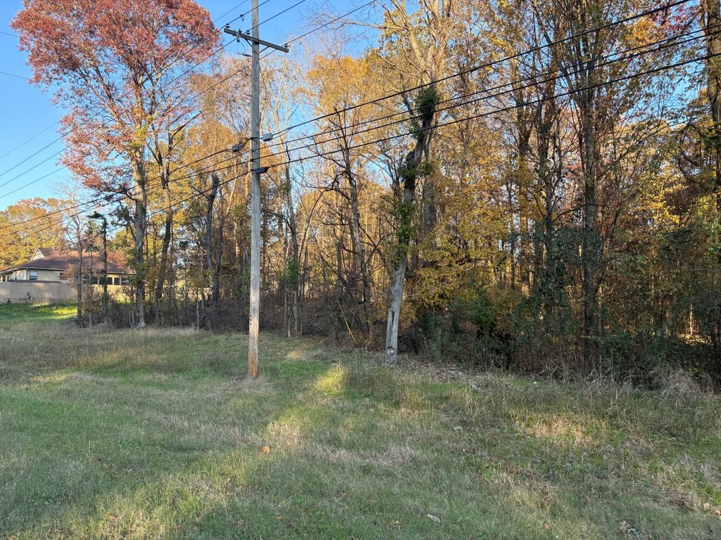 Picture 2