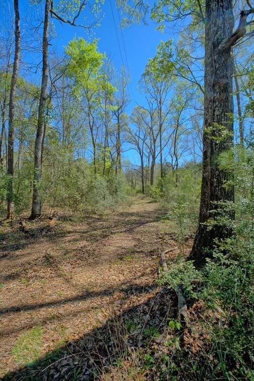 Picture 19