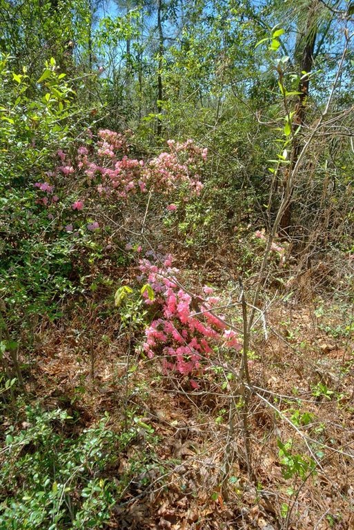 Picture 14