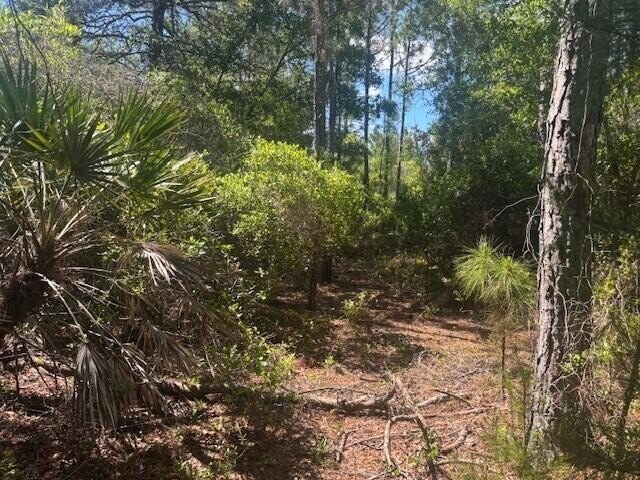 Mims, FL Land For Sale