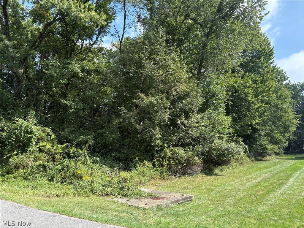 Picture 10
