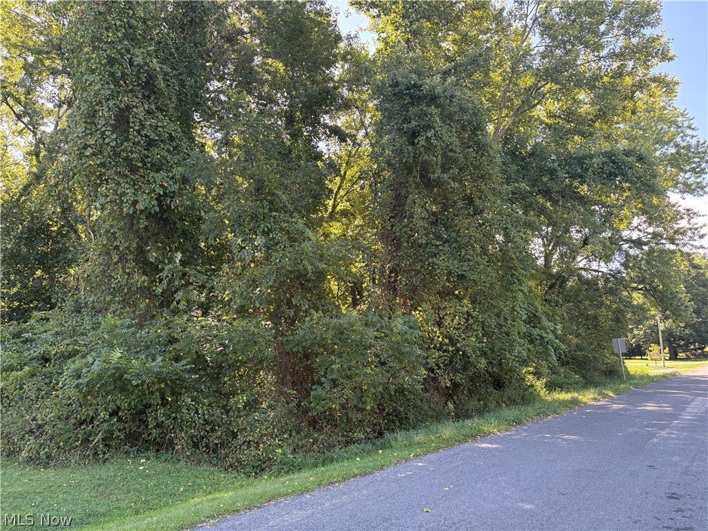 Picture 6