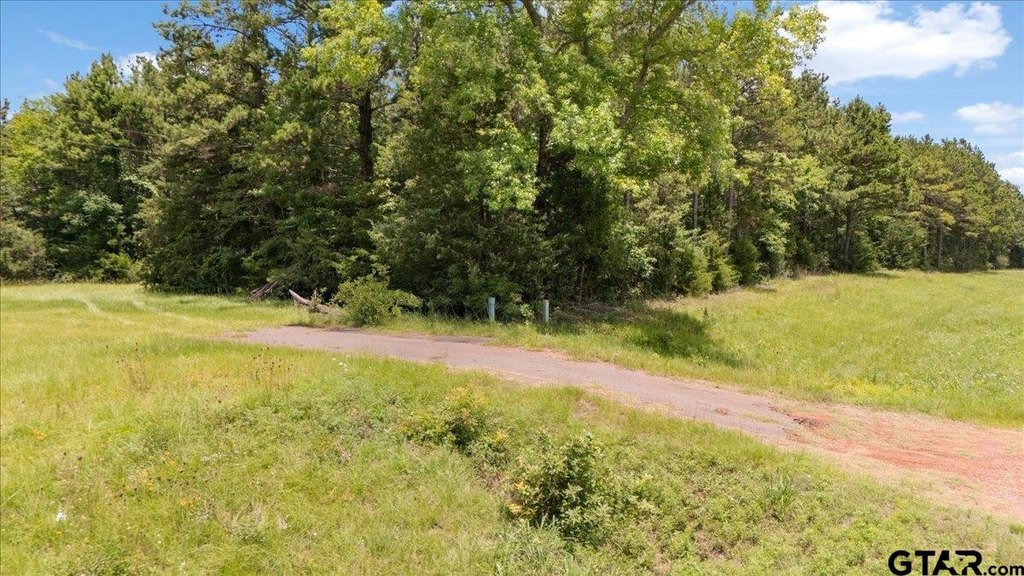 Picture 12