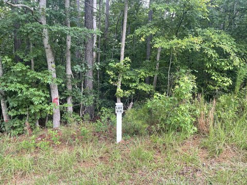 LAND - North Augusta, SC
