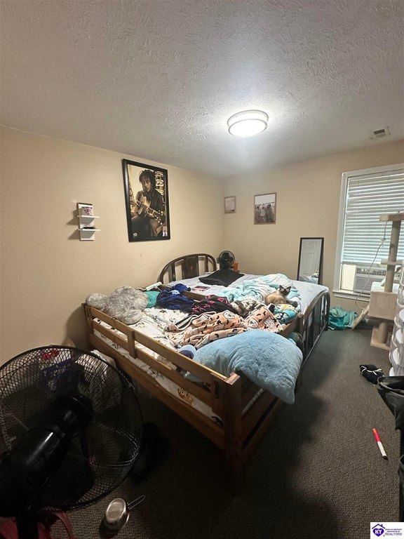Picture 41