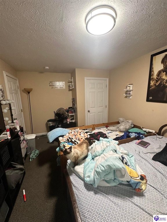 Picture 43