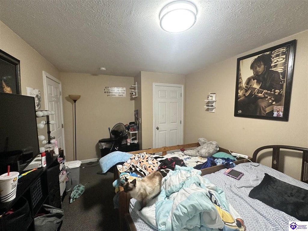 Picture 44